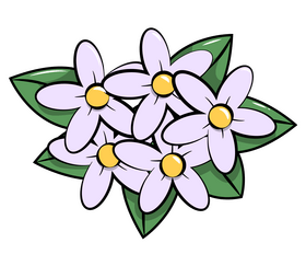 Jasmine clipart