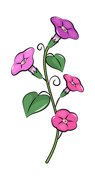 Morning glory clipart