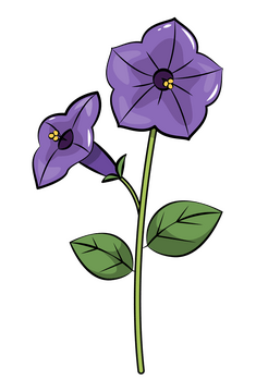 Petunia clipart