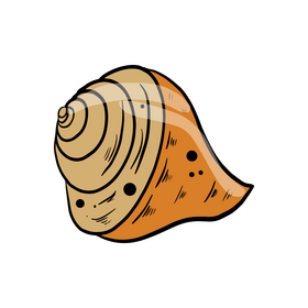 See shell cartoon clipart