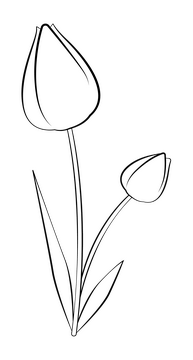 Tulip black and white clipart