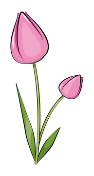 Tulip clipart