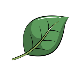 Leaf clipart