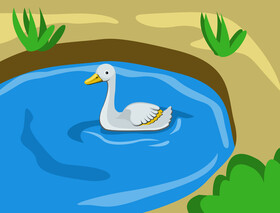 Swan vector