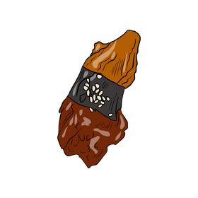 Sushi rolls illustration clipart