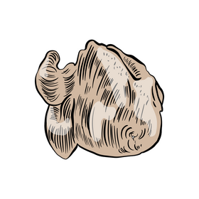 Whole chicken drawing clipart
