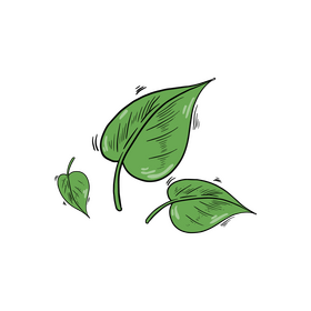 Leaves clipart