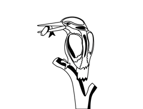 Kingfisher black and white clipart