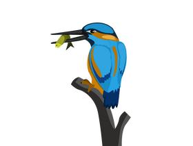Kingfisher clipart