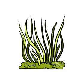 Grass cartoon clipart