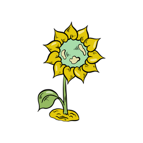 Sunflower cartoon clipart
