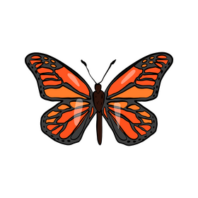 Butterfly cartoon clipart