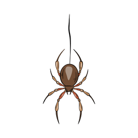 Free spider illustration clipart