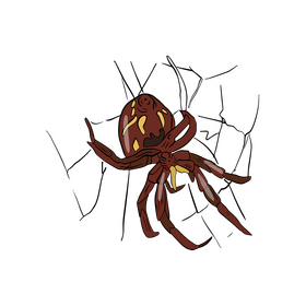 Free spider clipart