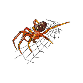Spider cartoon clipart