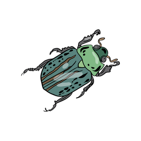 Green bug illustration clipart