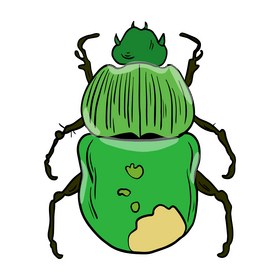 Green bug clipart
