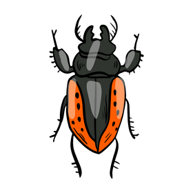 Bug clipart