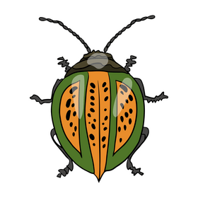Bug cartoon clipart