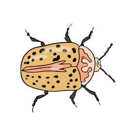 Bug cartoon clipart