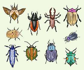 Bugs cartoon vector