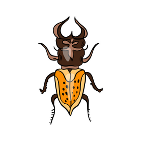 Bug clipart