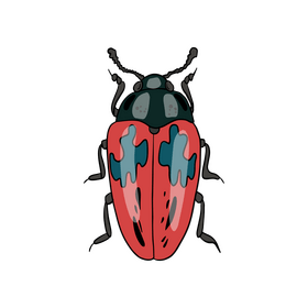 Bug clipart