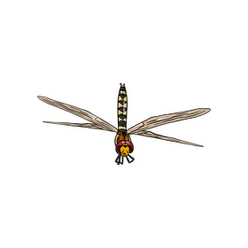 Cartoon dragonfly clipart