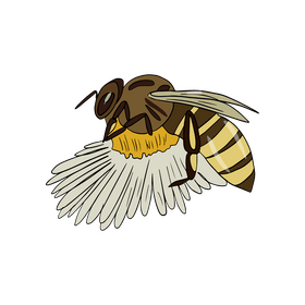 Bee on a flower clipart
