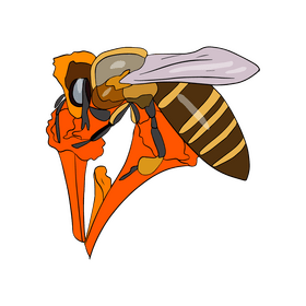 Bee on a flower clipart