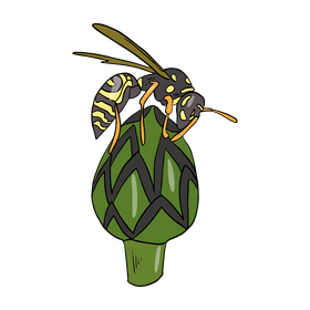 Free bee on a flower clipart