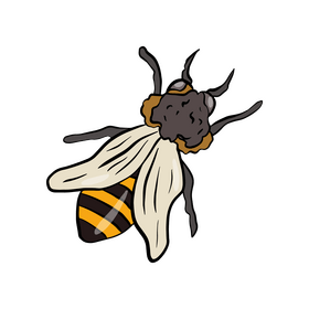 Free bee drawing clipart