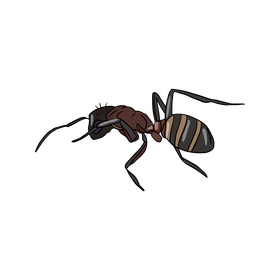 Ant clipart