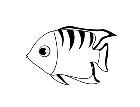 Coral fish black and white clipart