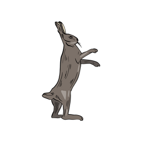 Hare clipart