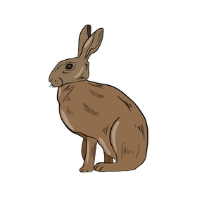 Hare clipart