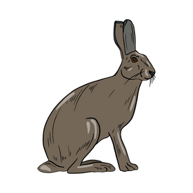 Brown hare clipart