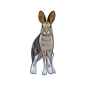 Hare cartoon clipart