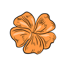 Orange flower drawing clipart
