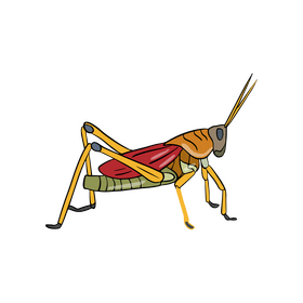 Free locust clipart