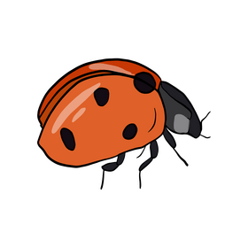 Ladybug clipart