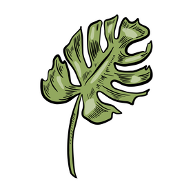 Leaf clipart