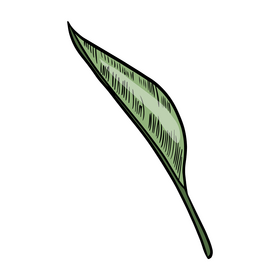 Tropical leaves clipart