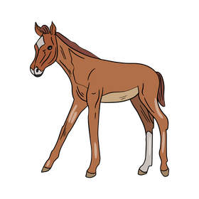 Cute horse illustration clipart