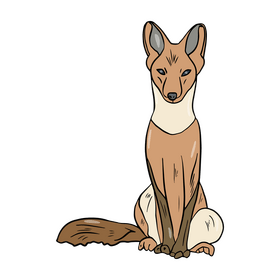 Fox clipart