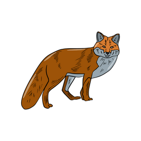 Fox illustration clipart