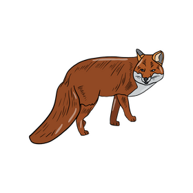Fox clipart
