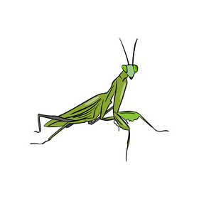 Green mantis clipart