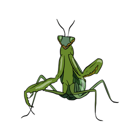 Free mantis clipart