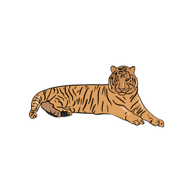Cute tiger illustration clipart
